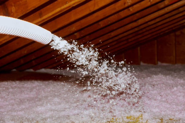 Best Blown-in Insulation in River Oaks, TX